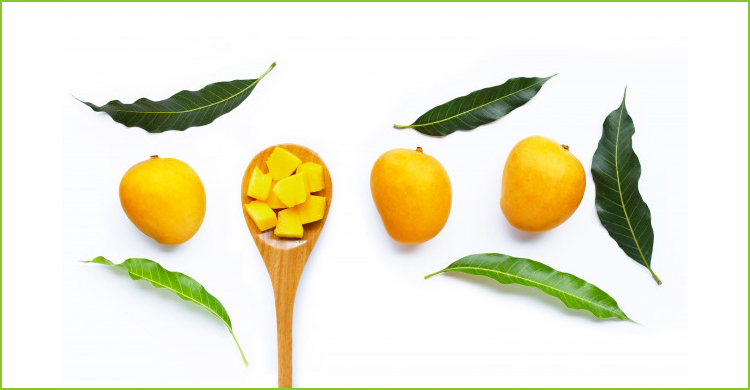 Bask Internationals Products