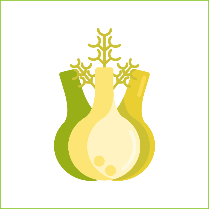 Bask International Food Products